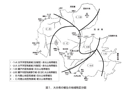 植生