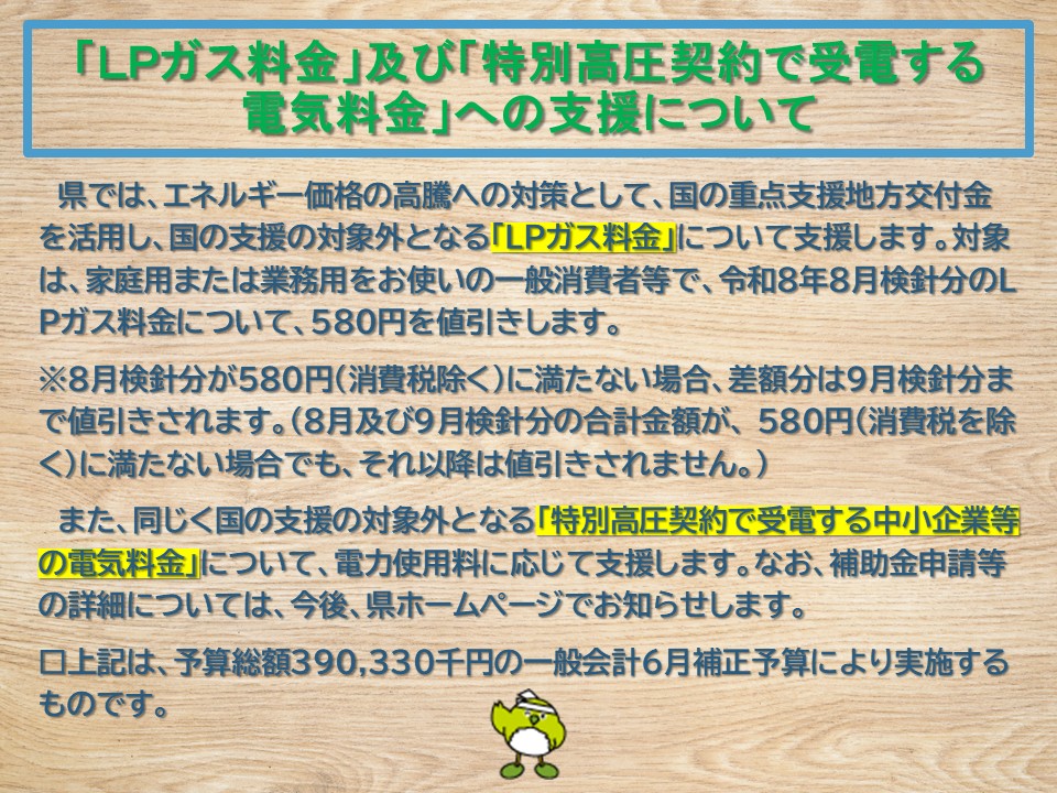 LPガス料金補助、特別高圧支援
