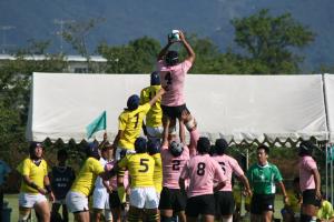 lineout1