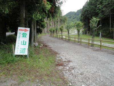 登山道２