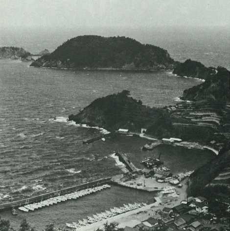 大島漁港で出漁を待つ一本釣りの舟