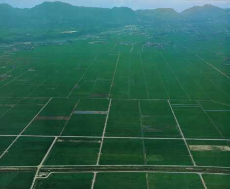 宇佐平野の「ほ場整備」