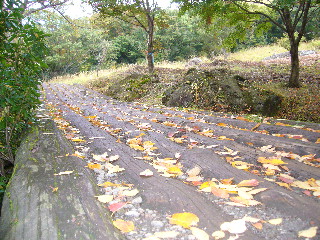 丸太橋