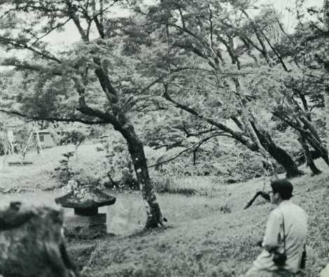 自然の休養地　用作（ゆうじゃく）公園