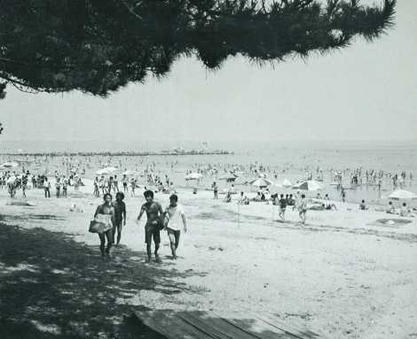 白砂青松の「奈多海岸」