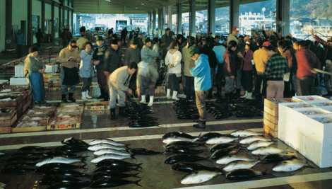 佐伯市公設水産「地方卸売市場」