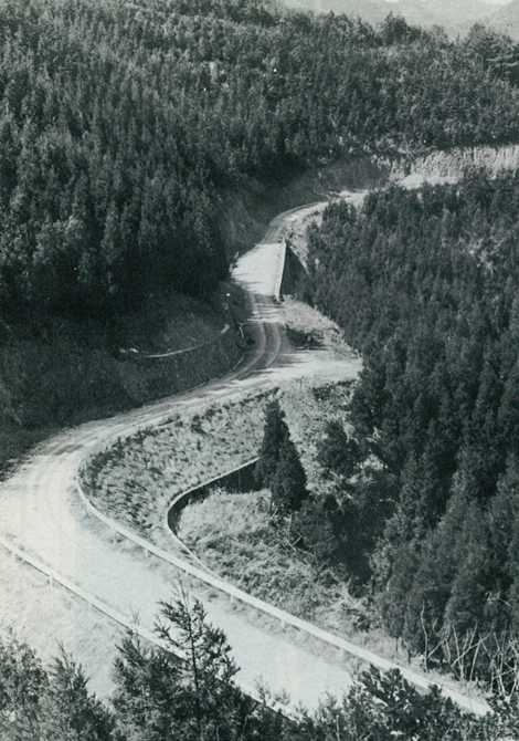 林道　－臼杵市野津町－