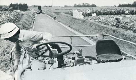 農道の仕上げが進む