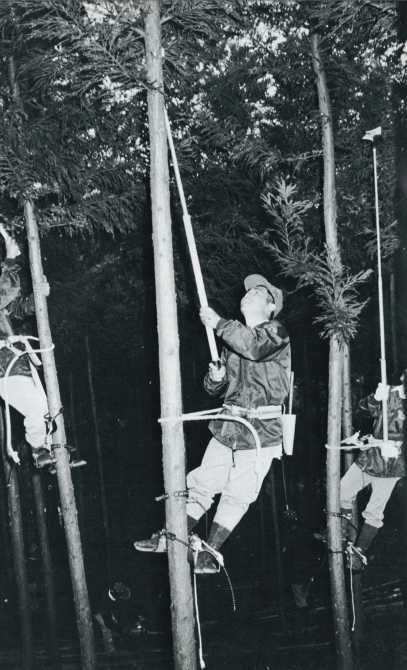 大田村林研グループ