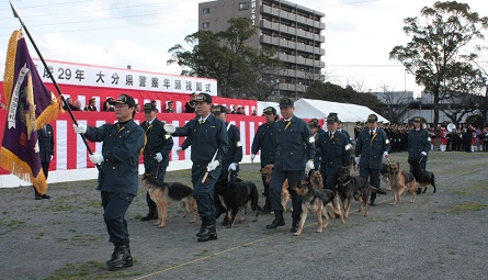 年頭視閲式警察犬の画像