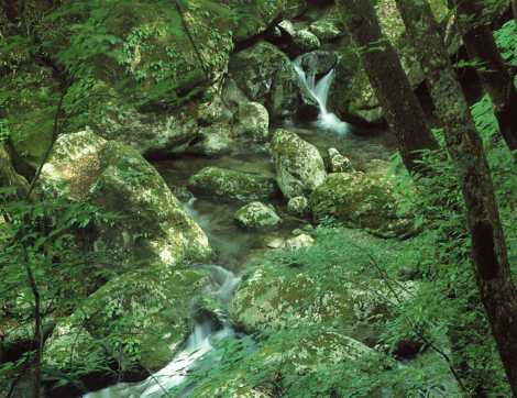 神原渓谷（こうばるけいこく）