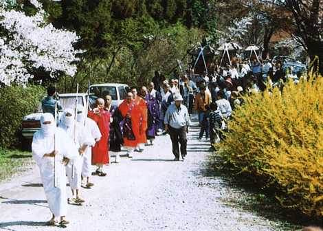 桧原マツ　－中津市耶馬溪町－