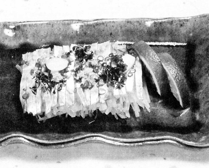 お魚料理／タチウオのたたき