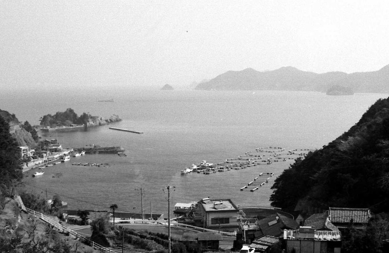 豊かな大分／刀自ヶ浦