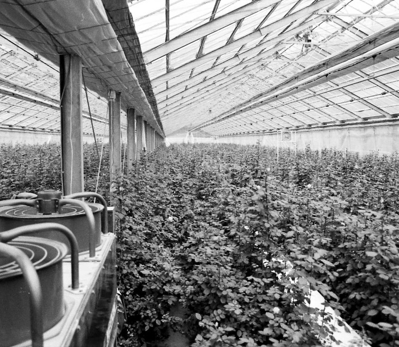 新しい農業への挑戦