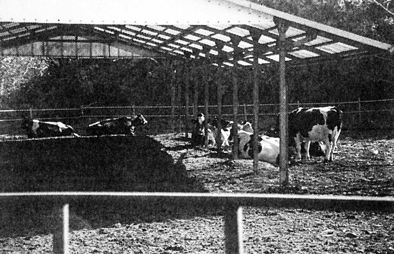 ミルクファーム首藤　－臼杵市野津町－