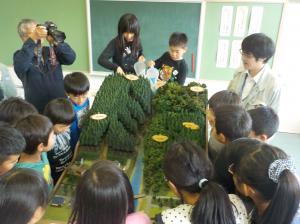 模型実演