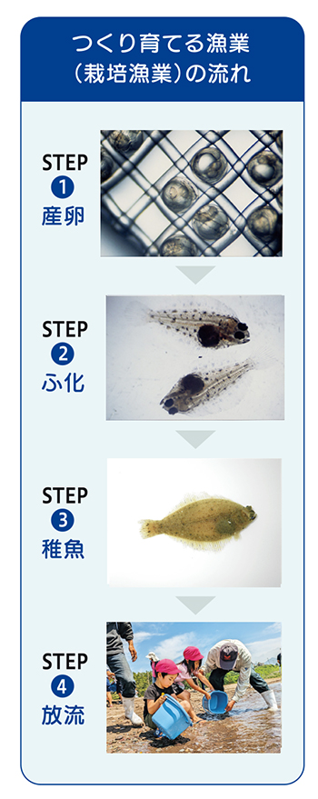 作り育てる農業の流れ