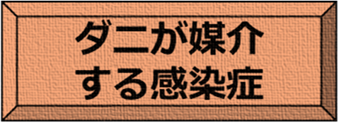 ダニが媒介する感染症