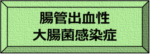 腸管出血性大腸菌感染症