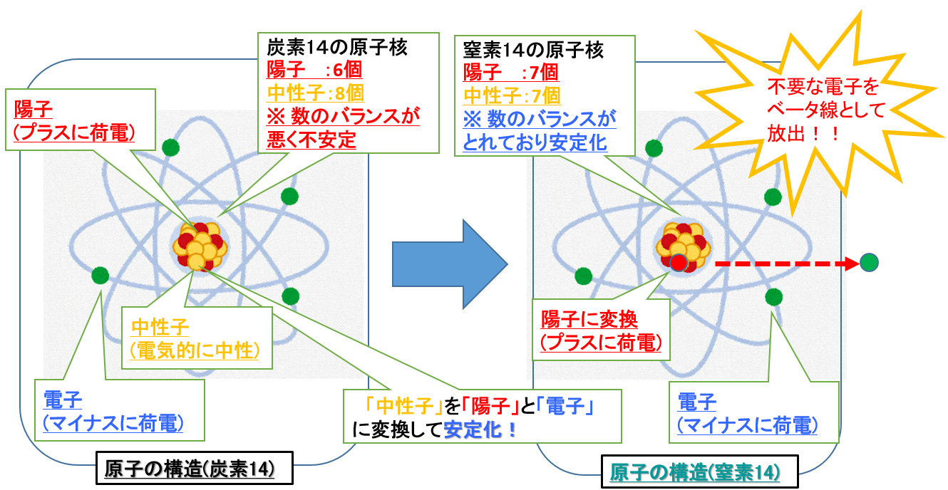 炭素14が窒素14に変換するのを表した図です。