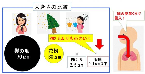 髪の毛、花粉、PM2.5、花粉の大きさを比較したイラストです。