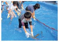 魚のつかみ取り写真