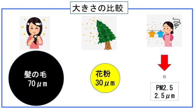 PM2.5の大きさを、髪の毛や花粉と比較しながらイラストにしたものです。