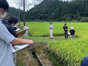 なつほのか研修会