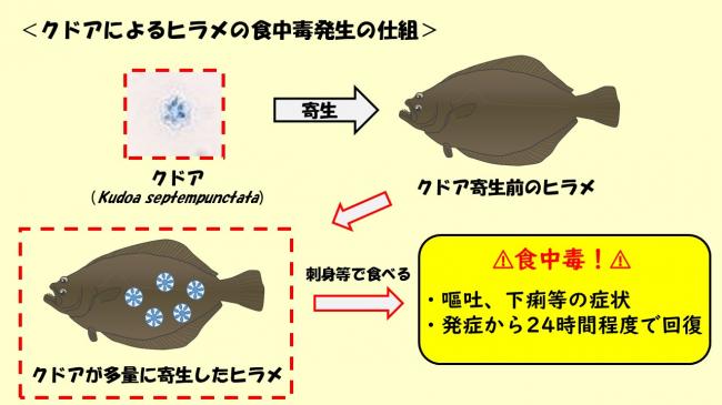 食中毒の発生