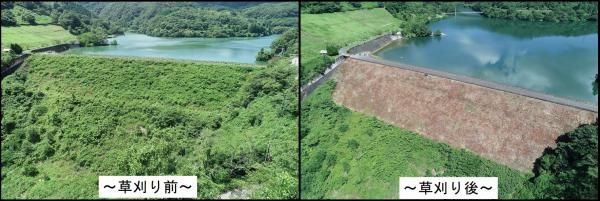 師田原ダム草刈り比較写真