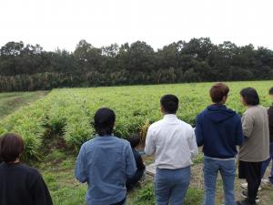 かんがい状況見学１