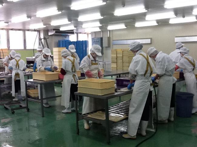 アイゴの処理の様子