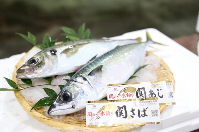 関あじ、関さば