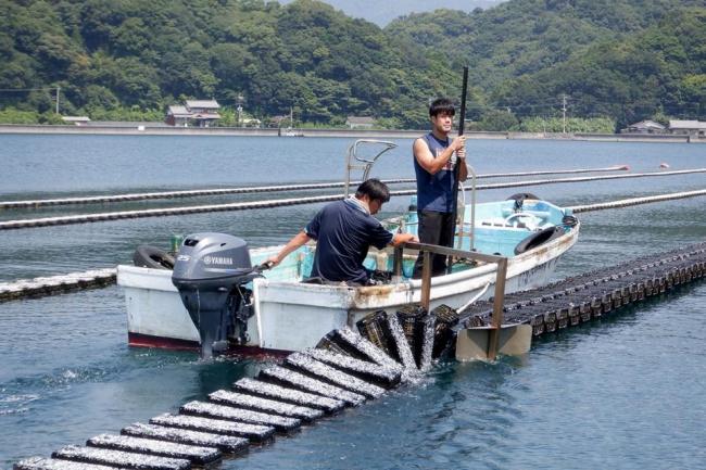 バスケットの反転