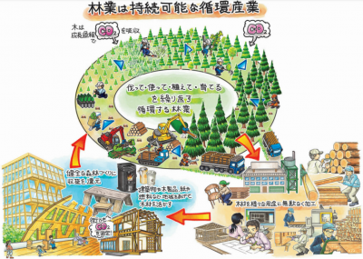 林業は持続可能な循環産業