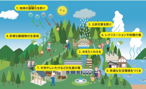 森林にはどのような働きがあるの