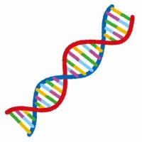 DNA