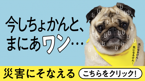 今しちょかんと、まにあワン…