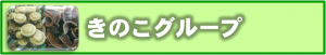 きのこ
