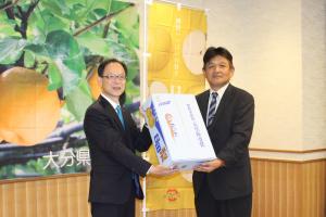 ひたなしぞうてい