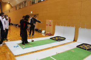 ポケットボール