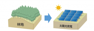 ③林地から太陽光発電