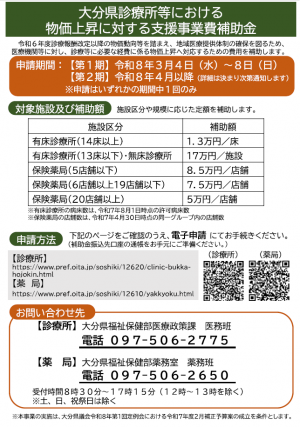 補助金事業概要チラシ