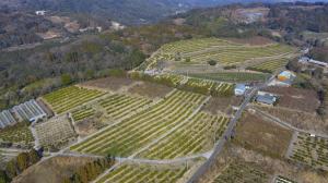 サンヨーフーズ