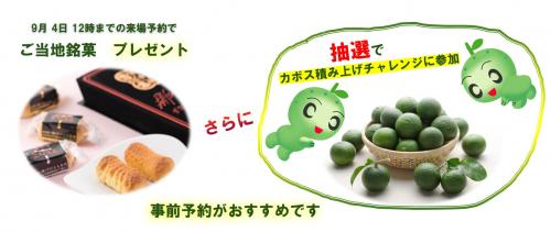 申込み特典