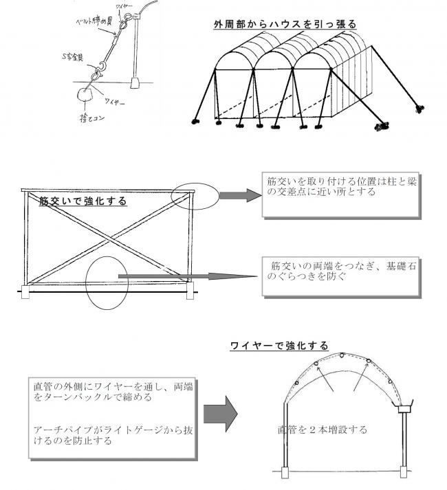 fig2