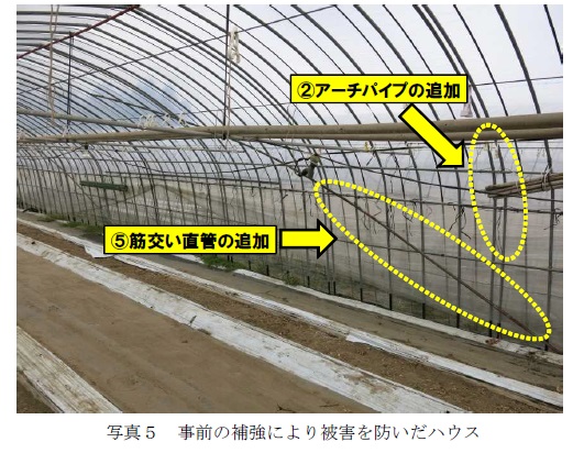 事前補強により被害を防いだハウス