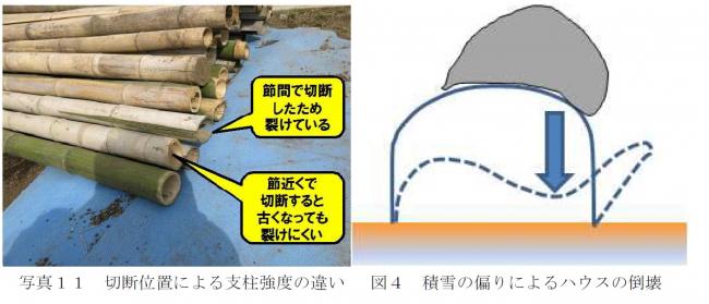 切断位置による支柱強度の違い