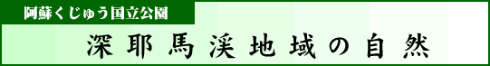 阿蘇くじゅう国立公園　深耶馬渓地域の自然